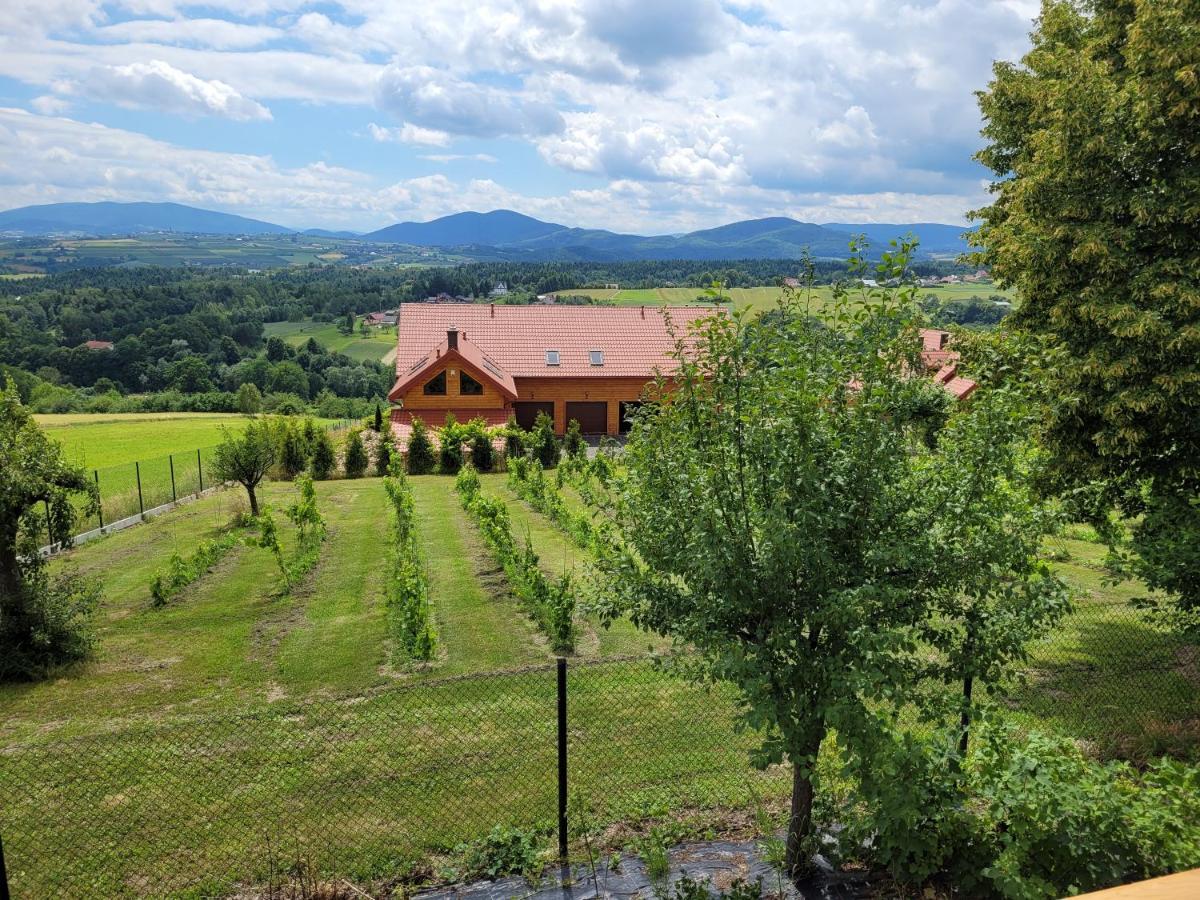 Fantastic View Vineyard Beskid Mountains Gruszow  Ngoại thất bức ảnh