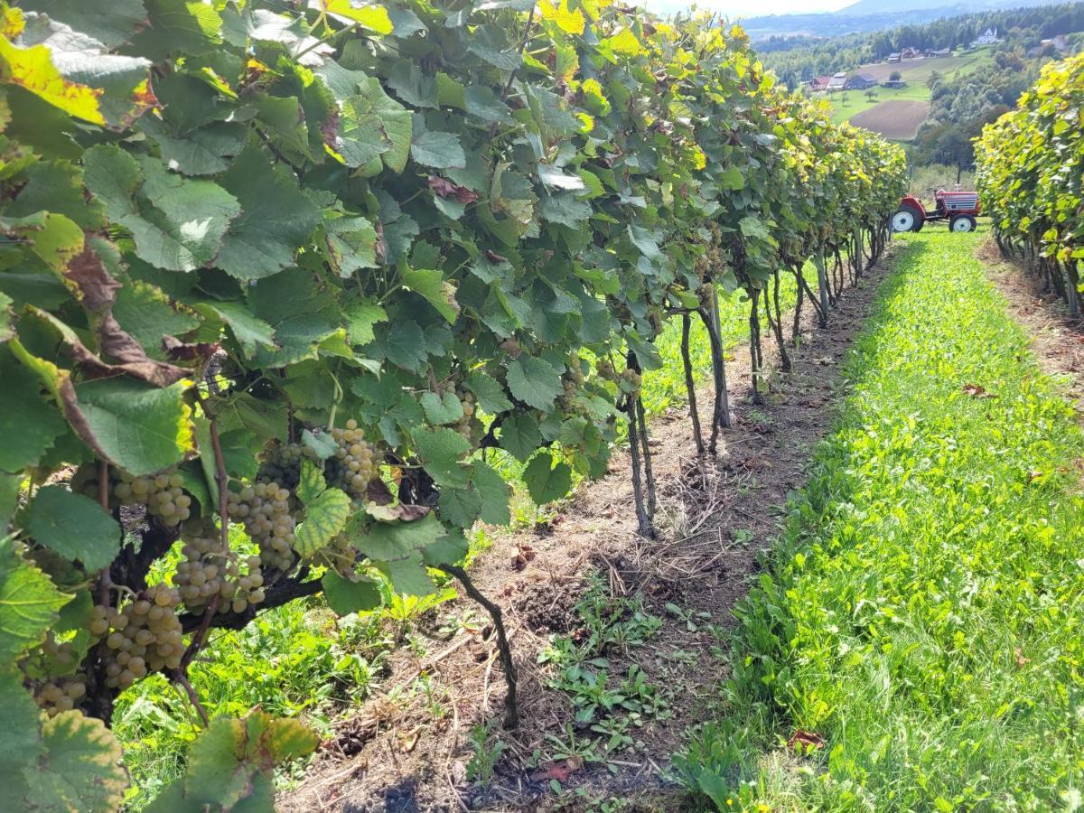 Fantastic View Vineyard Beskid Mountains Gruszow  Ngoại thất bức ảnh