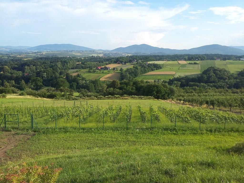 Fantastic View Vineyard Beskid Mountains Gruszow  Ngoại thất bức ảnh
